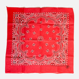 Vintage Paisley Bandana Red